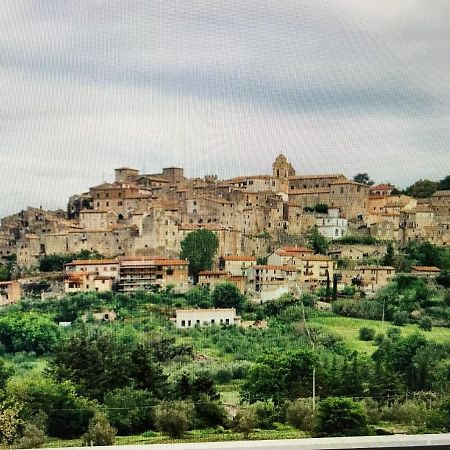 Castiglione In TeverinaCastiglione Apartament You&Meアパートメント エクステリア 写真